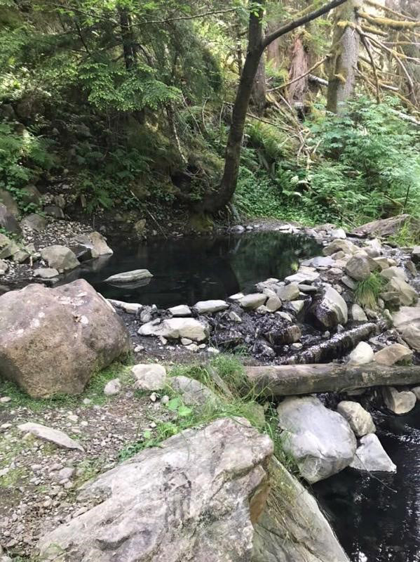 Olympic Hot Springs — Washington Trails Association