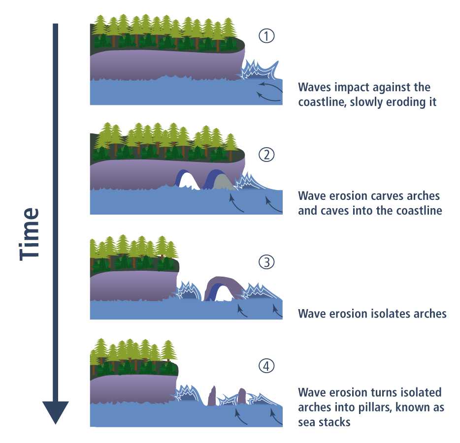 Process of sea stack formation
