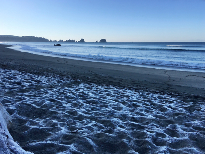 Frosty morning at Shi Shi Beach