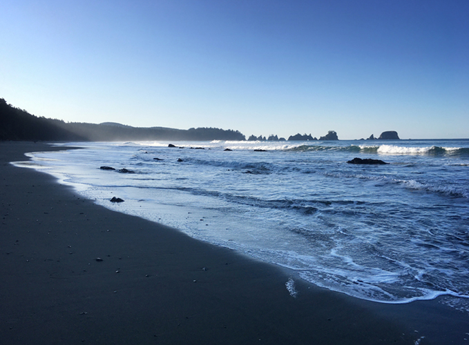 Shi Shi Beach