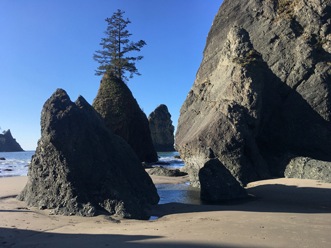 Sea stacks at Point of Arches