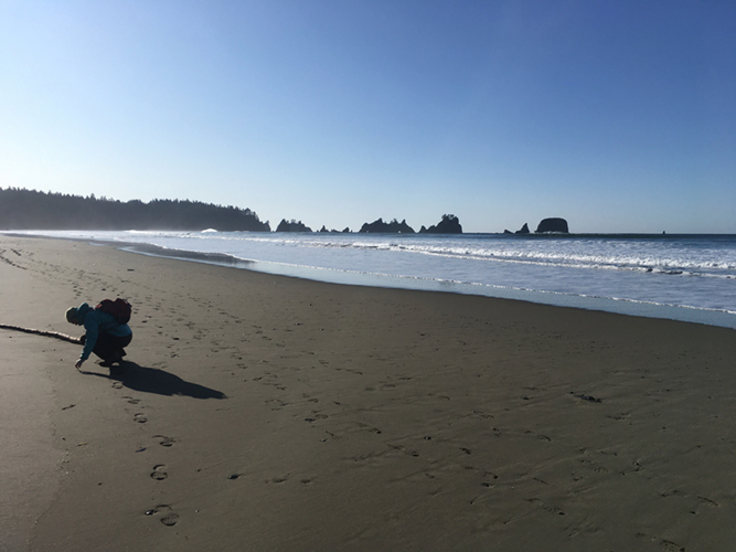 Shi Shi Beach
