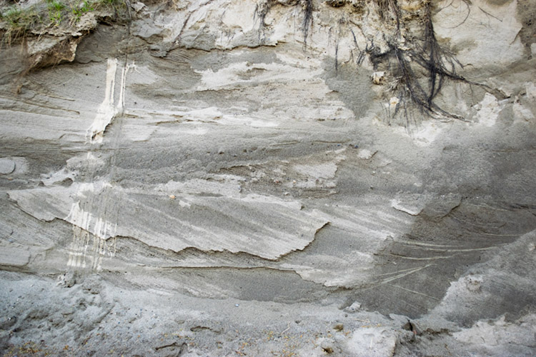 Bluff face at Fort Flagler State Park
