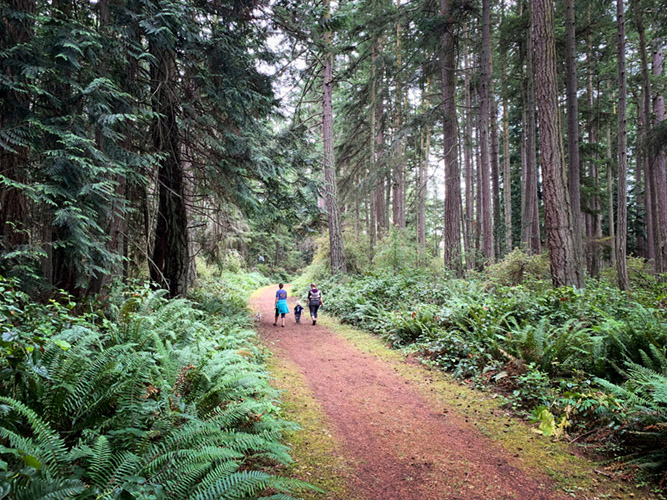 Trail in Fort Flagler State Park
