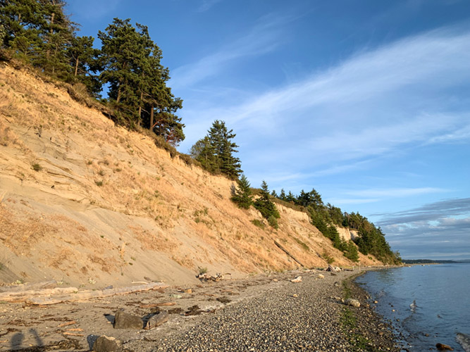 Bluffs on the west side of Fort Flagler State Park
