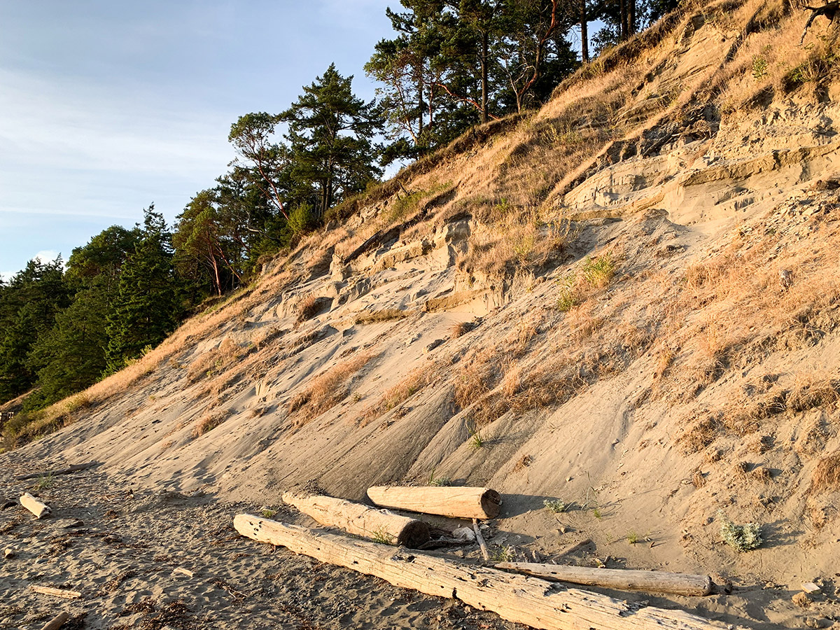 Beach and bluff on the west side of Fort Flagler State Park