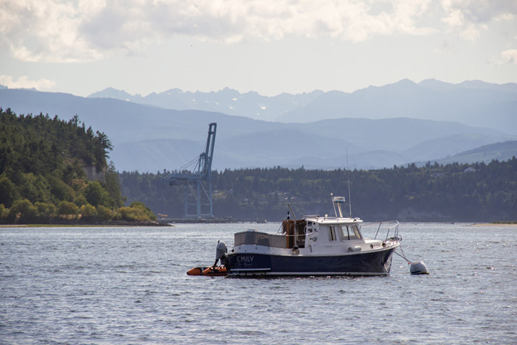 View toward the Olympic Mountains from Fort Flagler State Park