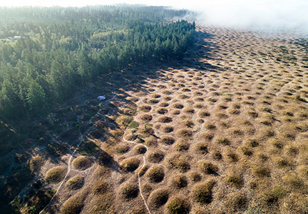 Aerial view of Mima Mounds Natural Area Preserve