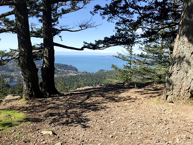 View from Sugarloaf towards the Olympics