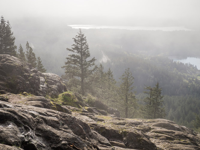 Foggy morning at the summit of Mount Erie