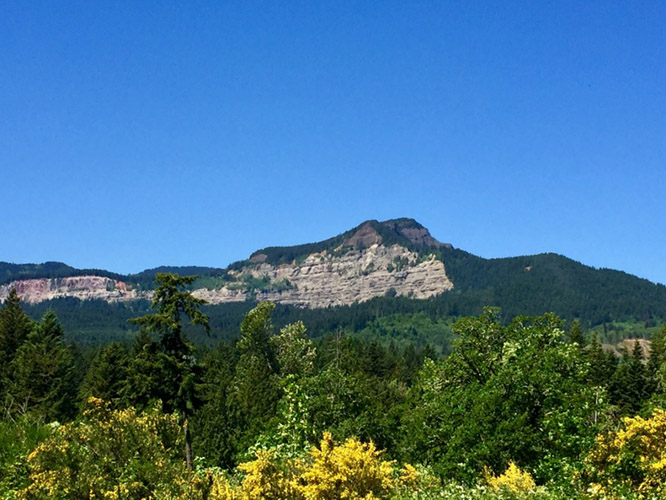Cascade landslide complex headscarp on Greenleaf Peak