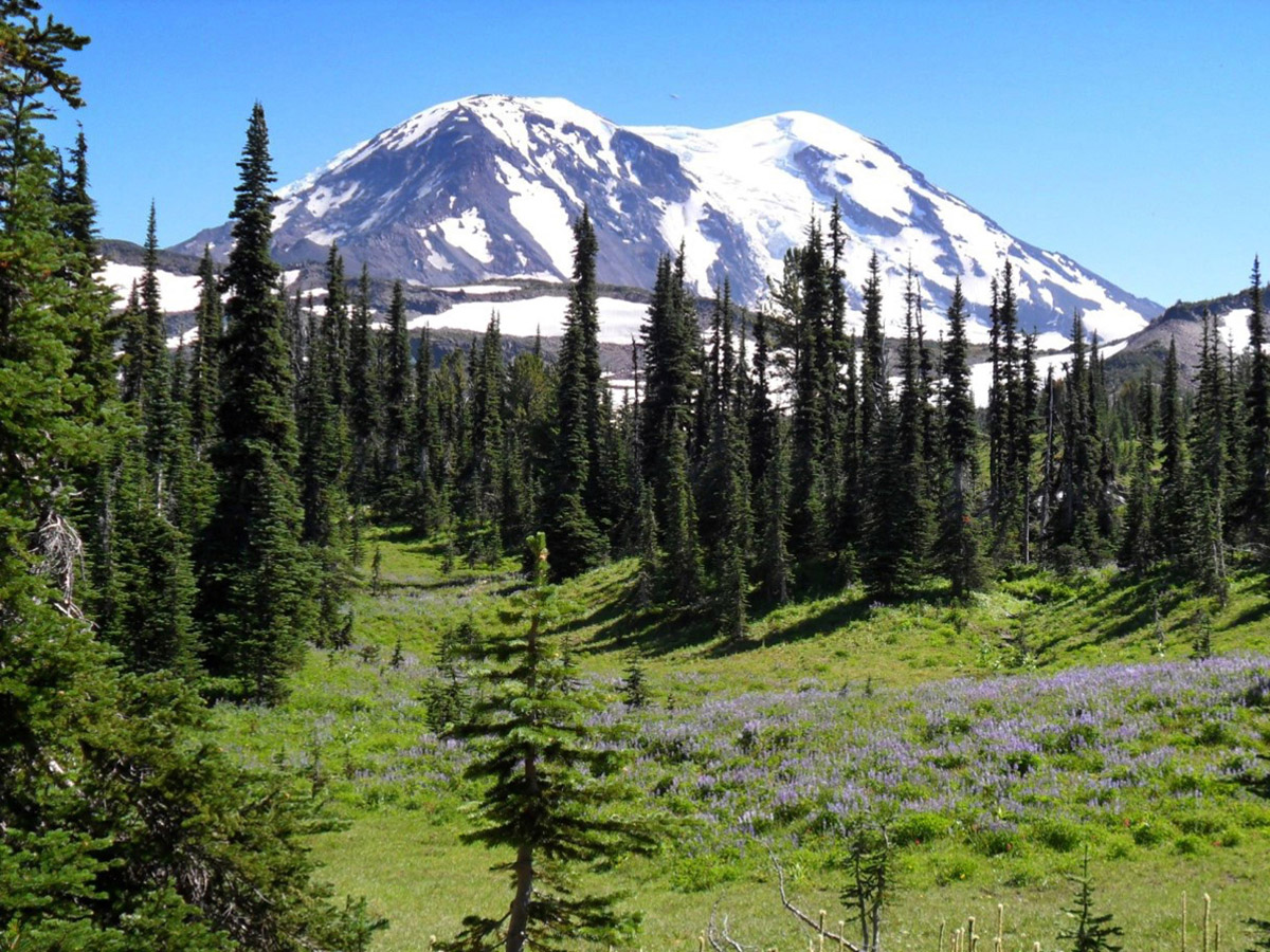 Mount Adams - Discover Lewis County