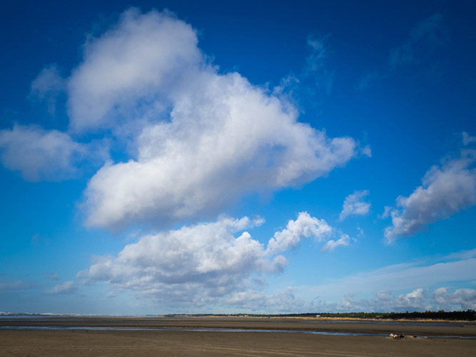 The wide beach at Grayland Beach State Park