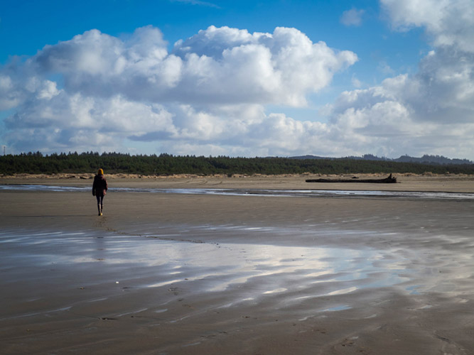 Grayland Beach