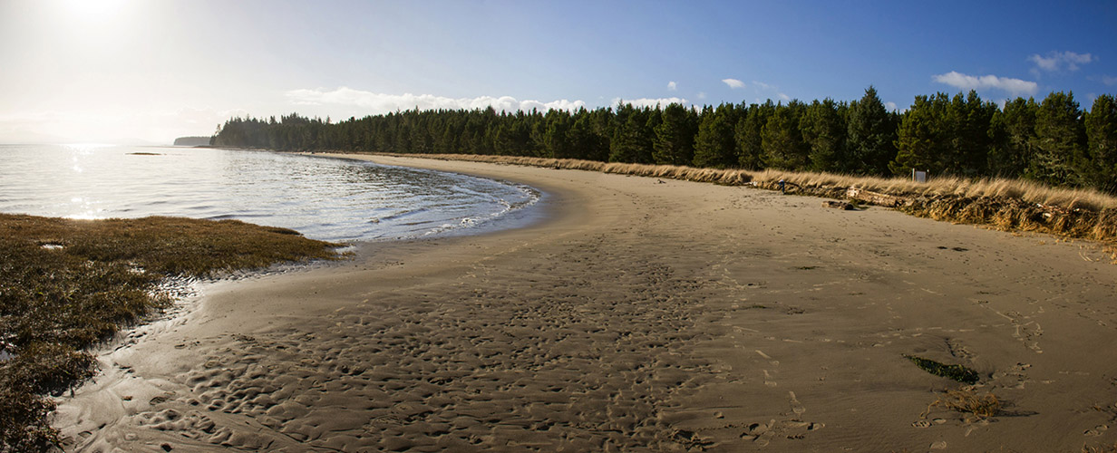 Beach on the eastern side of Leadbetter Point