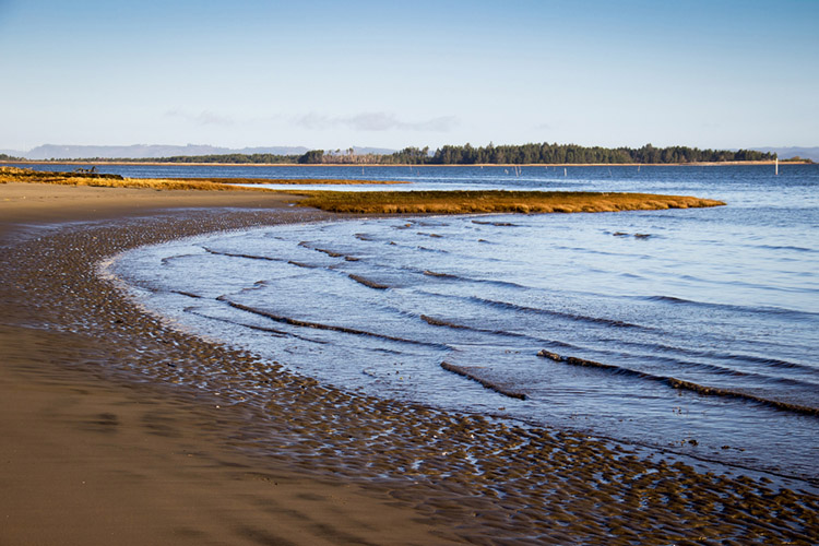 View to the north in Willapa National Wildlife Refuge