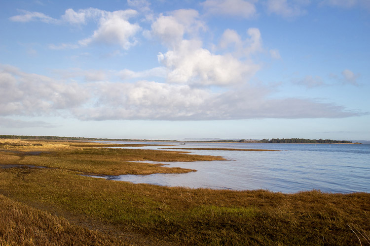 Willapa National Wildlife Refuge