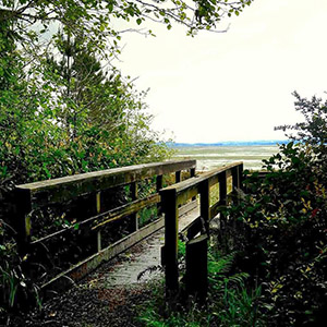 Boardwalk to the bay