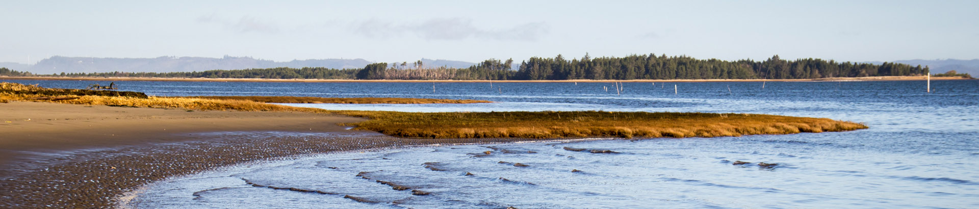 The eastern side of Leadbetter Point has extensive coastal wetlands